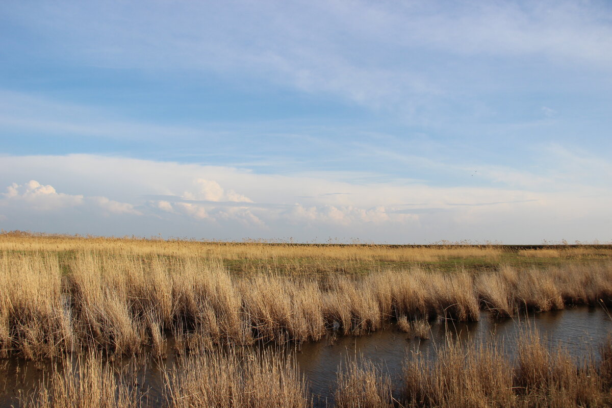 *** - Виктор *** - Виктор