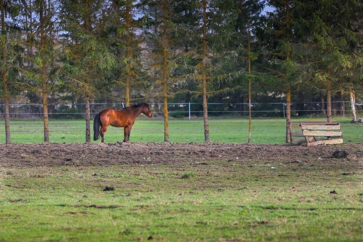 одиночество - Александр Александр