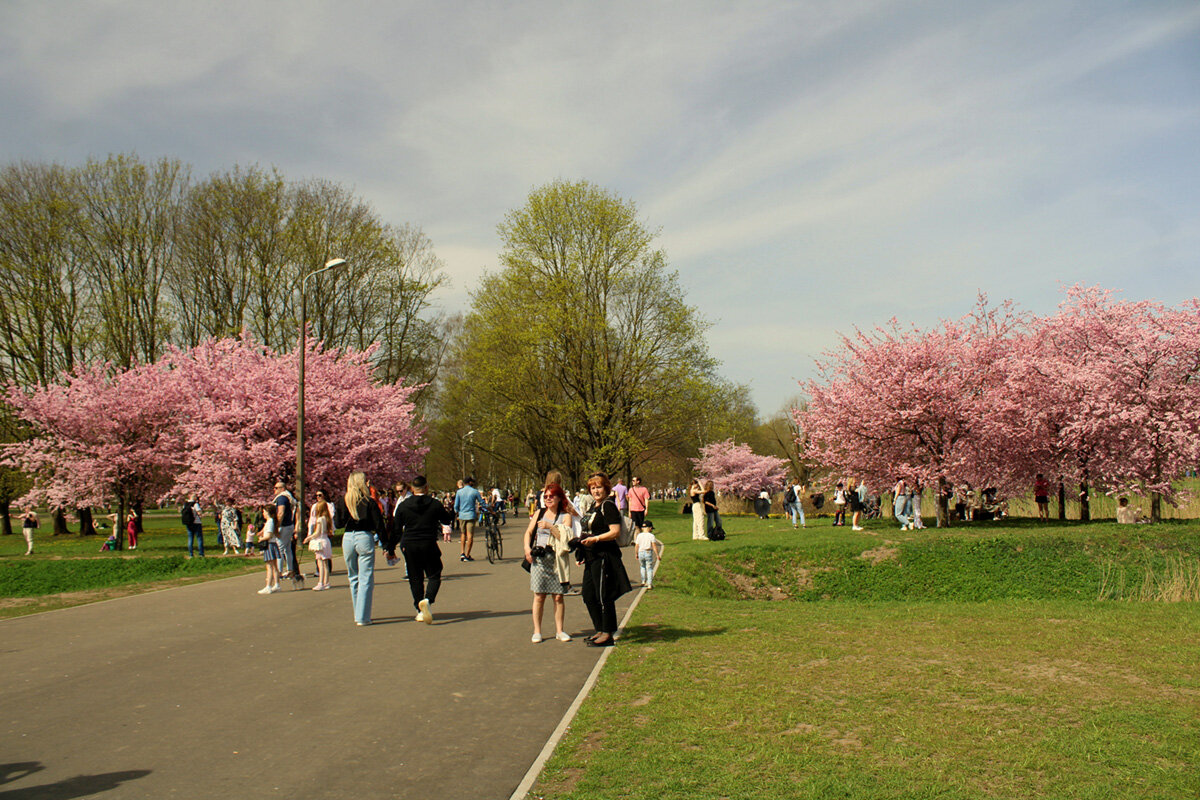 Весна во всей красе - Aleksandr Gal Весна во всей красе - Aleksandr Gal