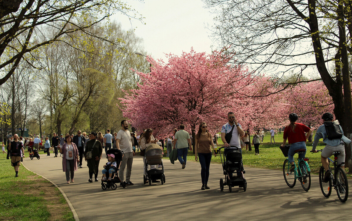 *** - Aleksandr Gal *** - Aleksandr Gal