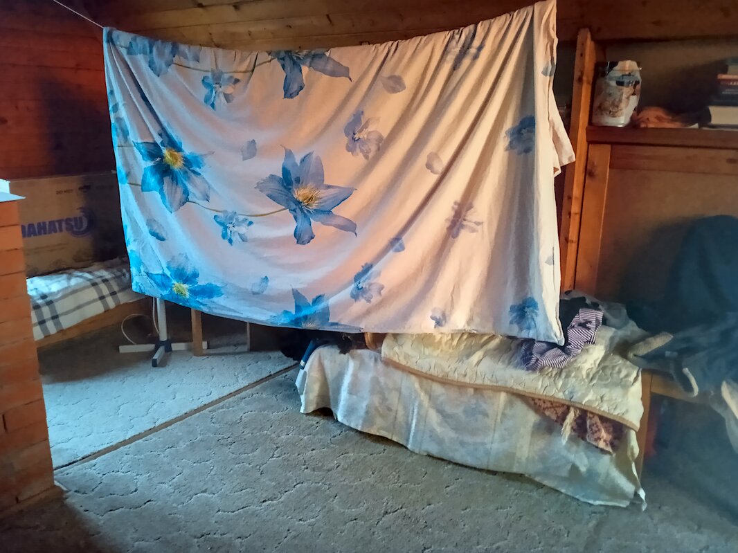 Эксперимент 4 - Andy 