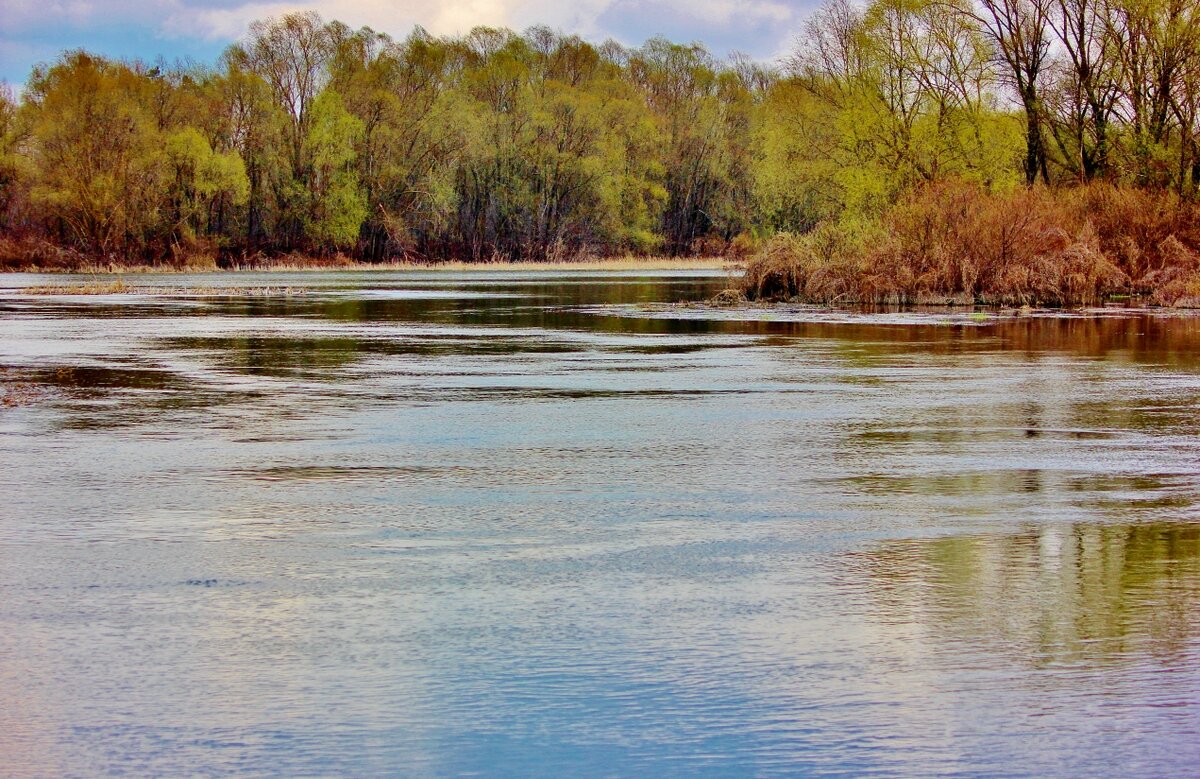 Весеннее настроение Хопра. - Восковых Анна Васильевна 