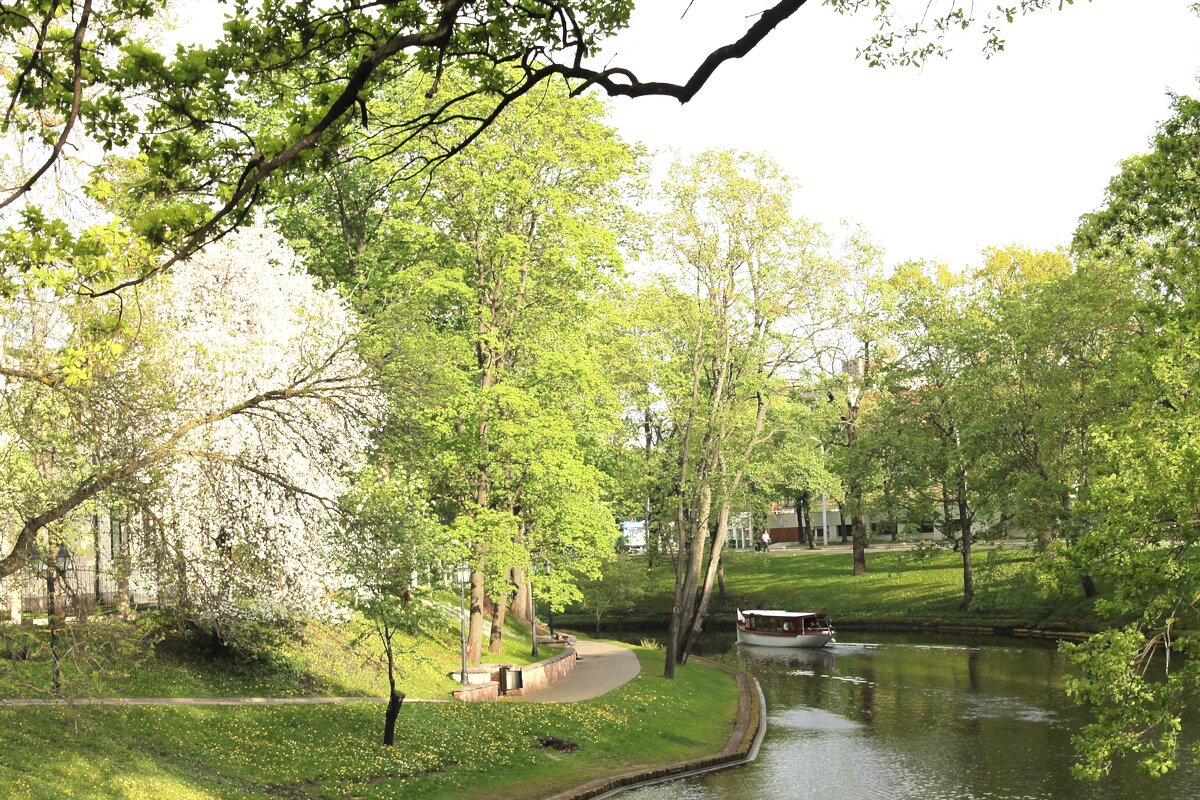 весна - марта Камушкина