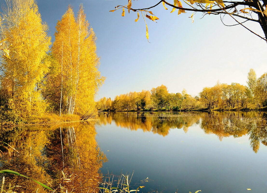Золото сентября - Михаил Белоусов