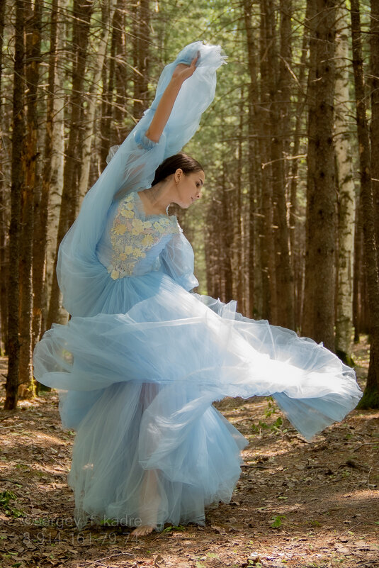 Василина - Сергей Флетчер