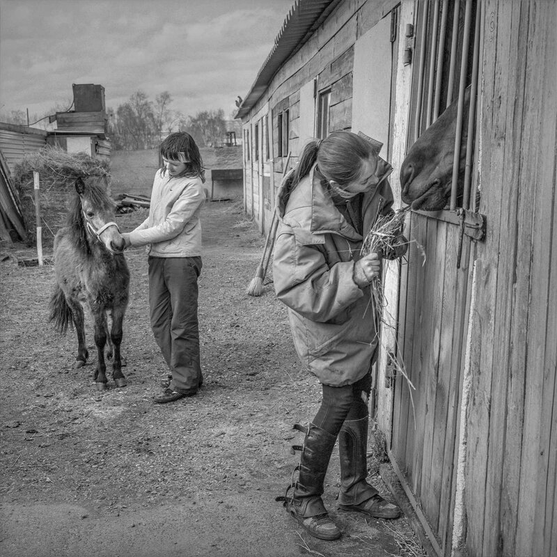 КОННЫЙ ДВОР - Александр Кустов КОННЫЙ ДВОР - Александр Кустов