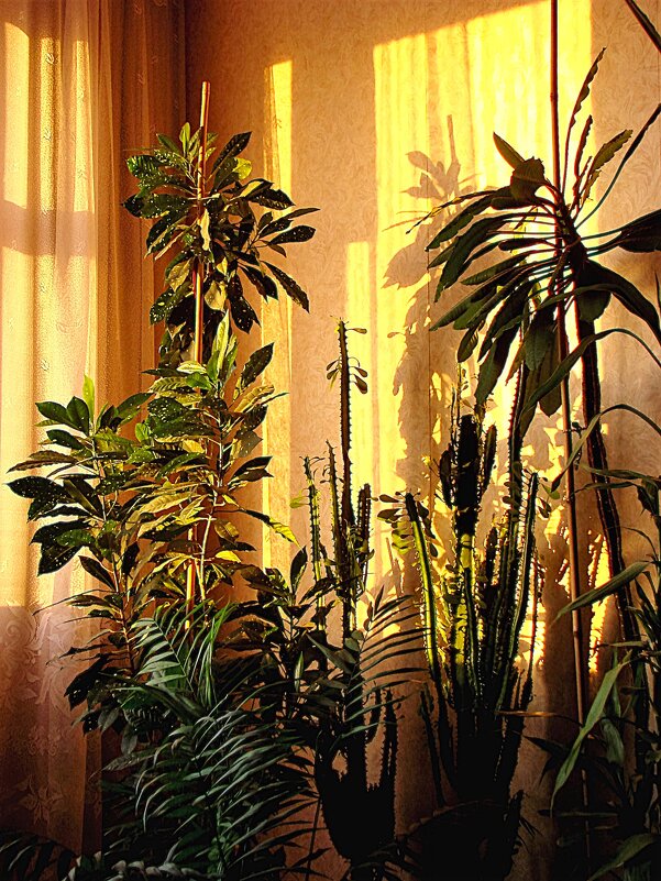 Солнечной Пасхи ! - Анатолий Колосов