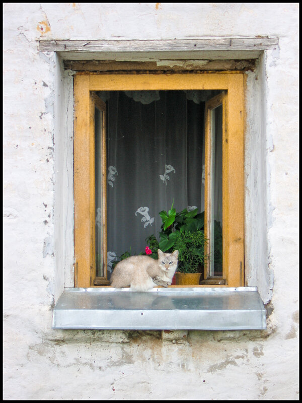 Окно - **** vedin