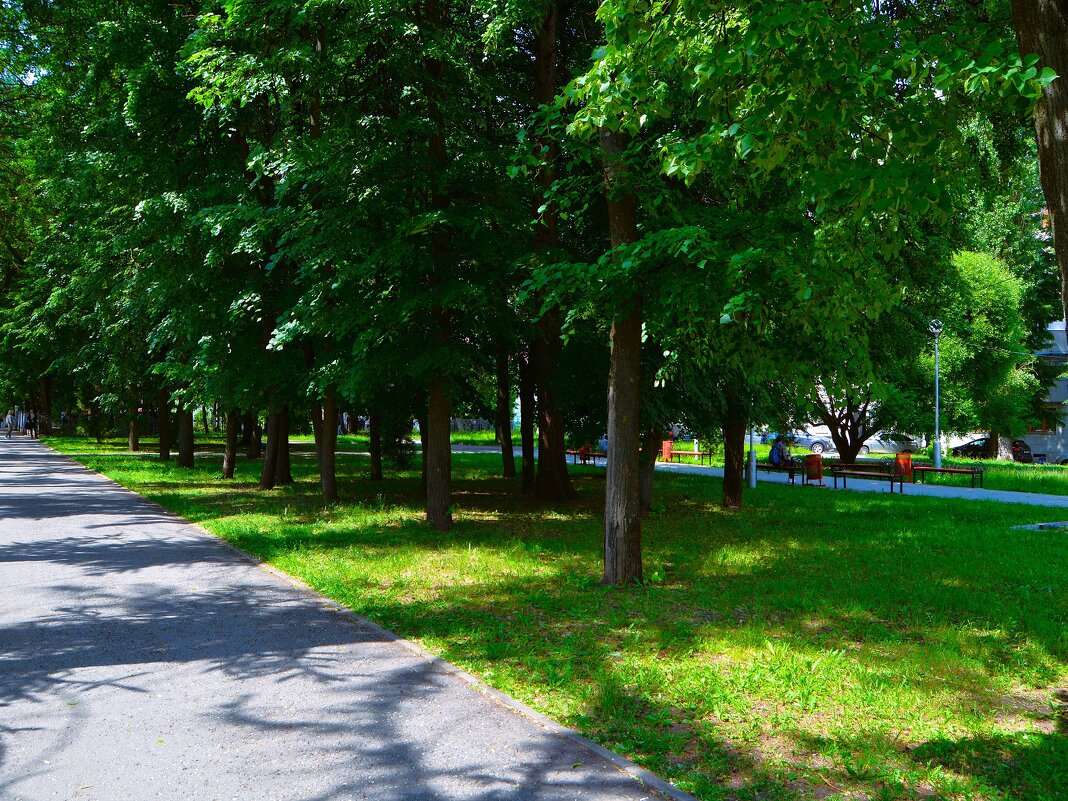 Чебоксары. Сквер им. Михаила Сеспеля в начале лета. - Пётр Чернега Чебоксары. Сквер им. Михаила Сеспеля в начале лета. - Пётр Чернега