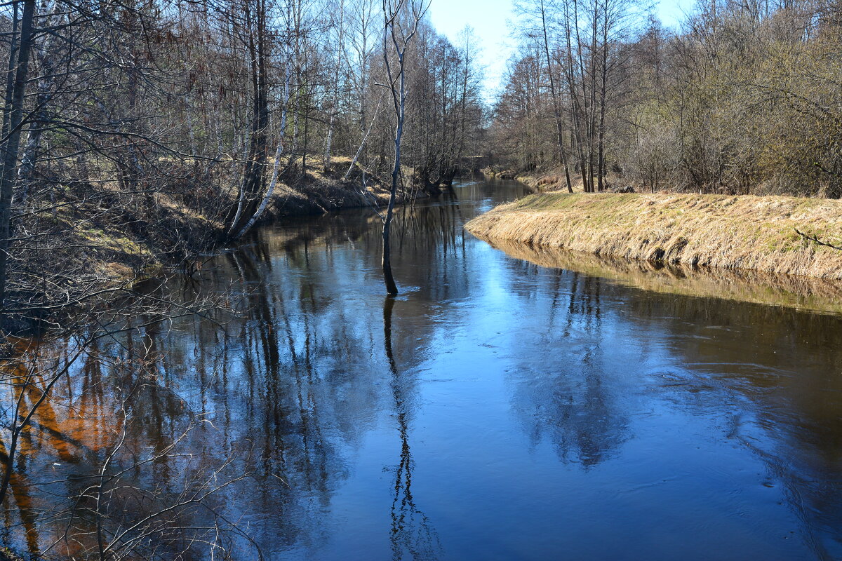 Лесная река Серёжа. - Михаил Колосов Лесная река Серёжа. - Михаил Колосов