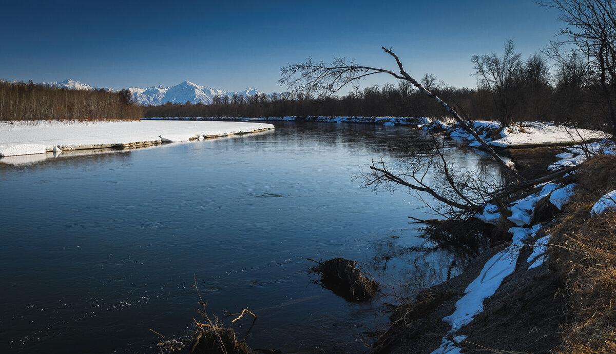 ... - Жора Житников