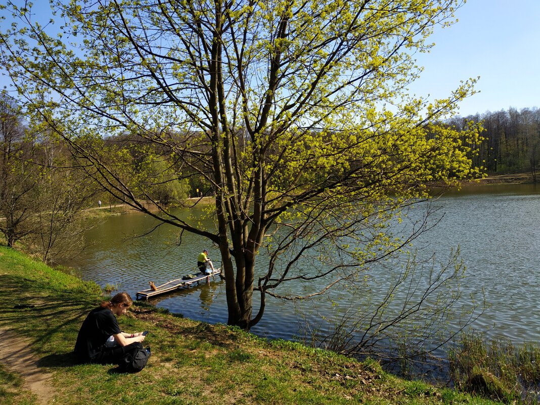 В моём храме - Андрей Лукьянов