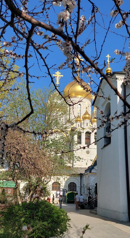 Пасхальная неделя - ИРЭН@ .