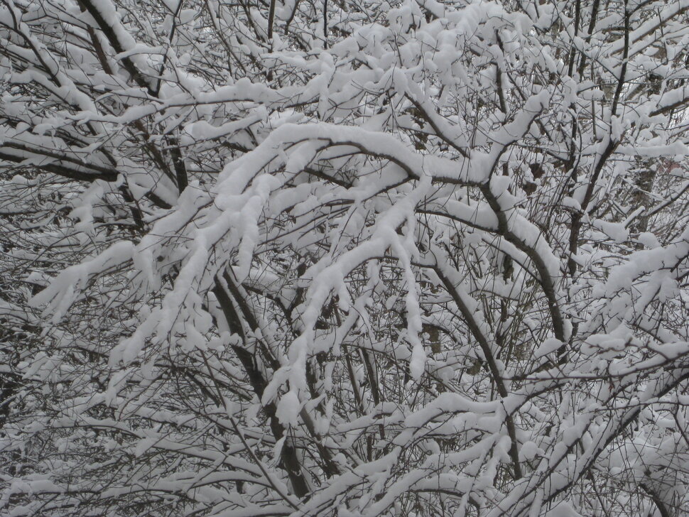 Зимние красоты апреля. Год 2025 - Дмитрий Никитин