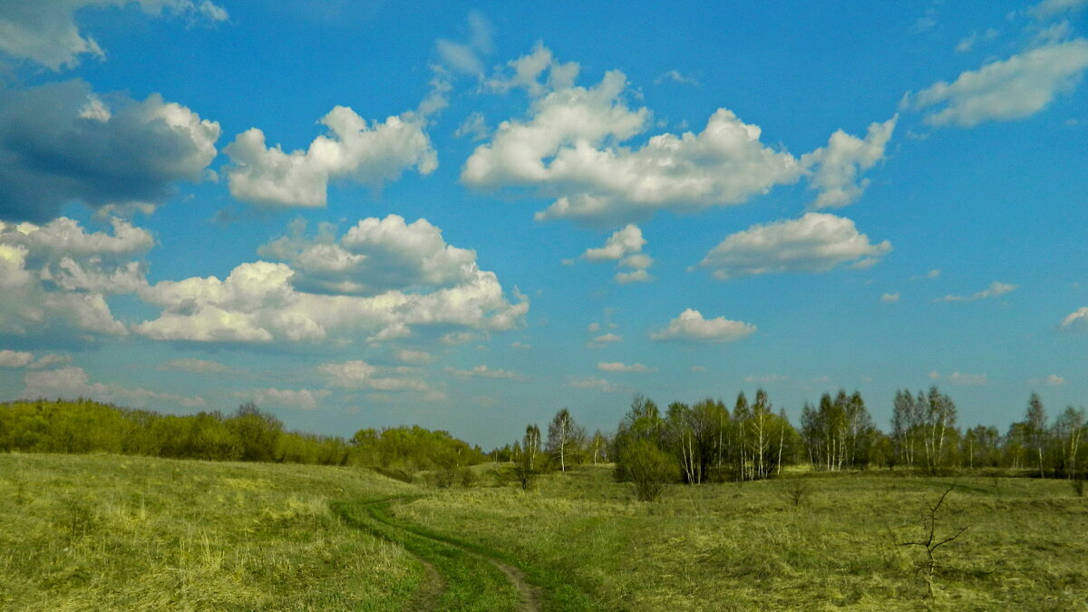 Прогулка в весенний день. - Татьяна Нефедьева. 