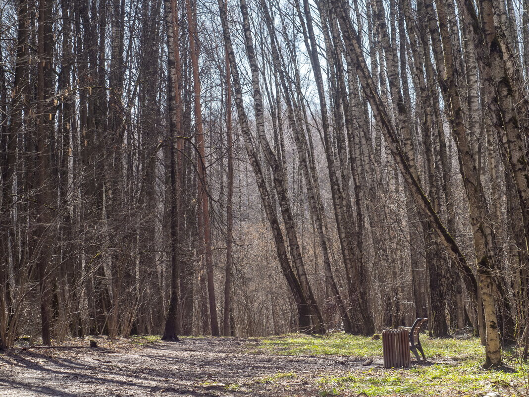 ___ - Yuriy V