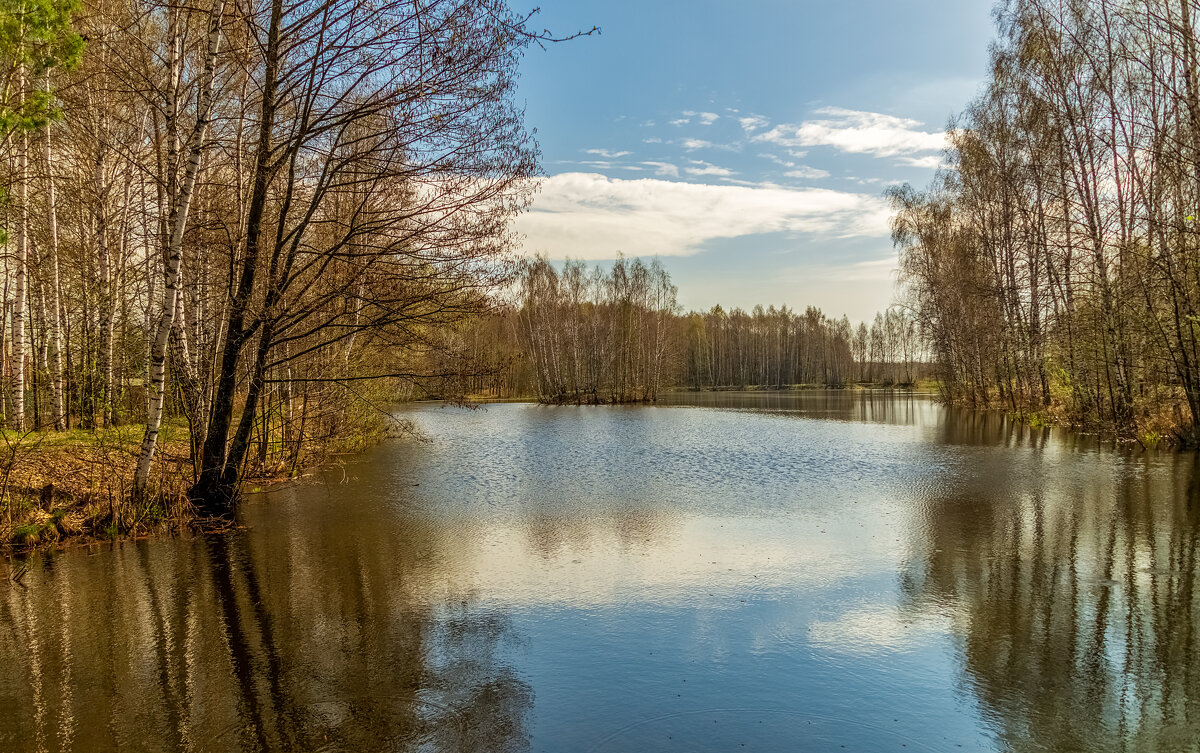 ВЕСНА,ВЕСНА,ВЕСНА 3 ... - Андрей Дворников ВЕСНА,ВЕСНА,ВЕСНА 3 ... - Андрей Дворников