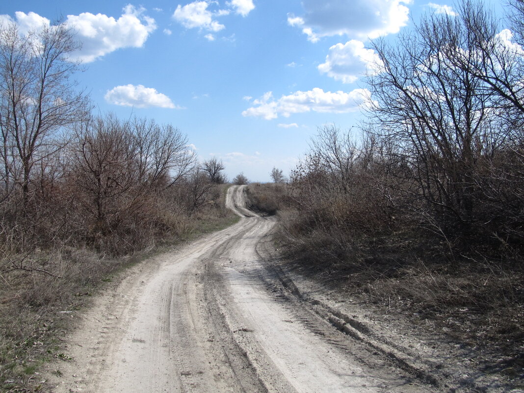 ещё зовут дороги - Елена Шаламова