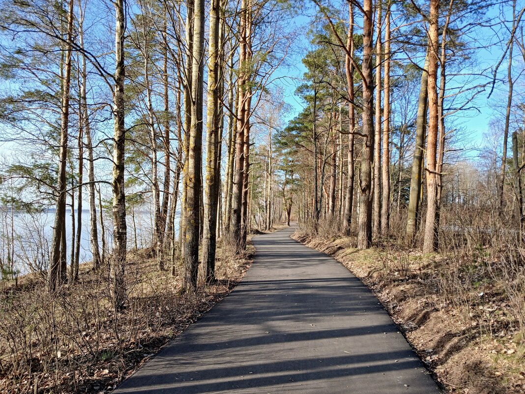 Апрель, тепло, сухо, безветрие - идеально для прогулок! - Лия ☼