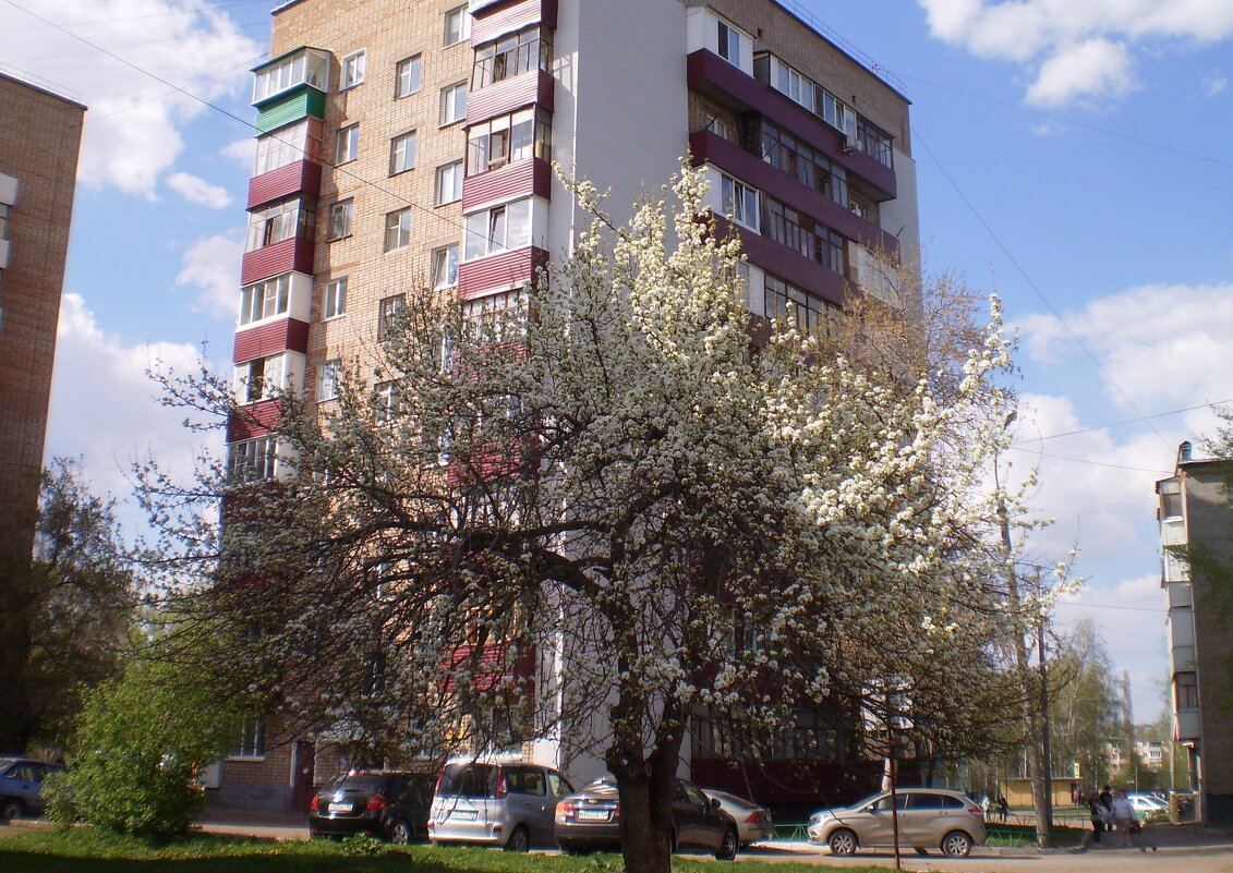 Весна. - Венера Чуйкова Весна. - Венера Чуйкова