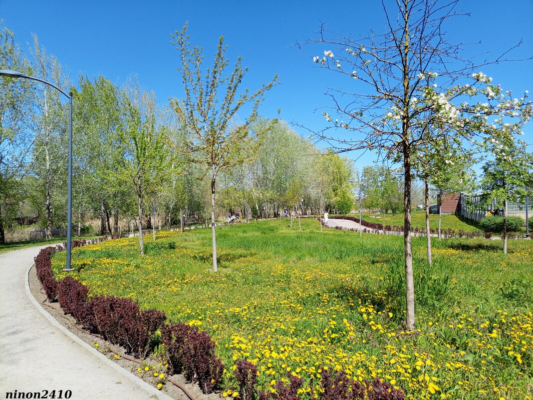 В ростовском экопарке - Нина Бутко В ростовском экопарке - Нина Бутко