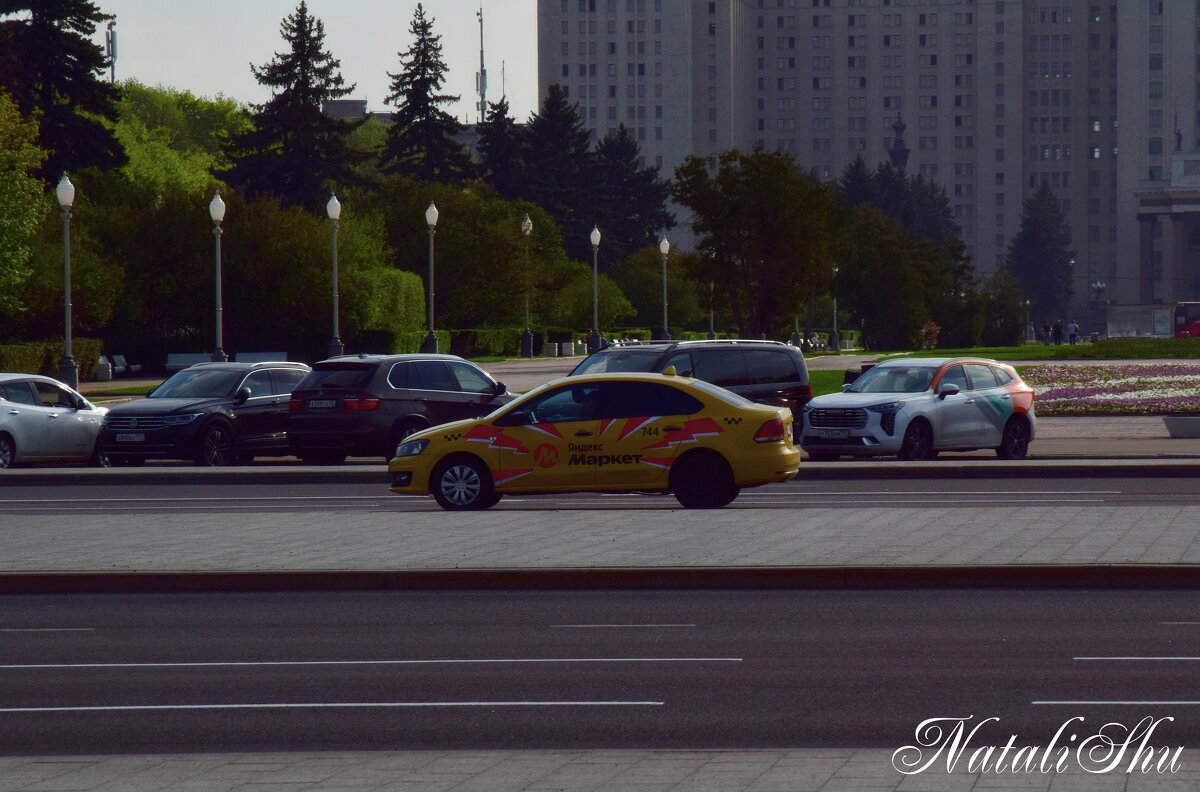 *** - Наталья Вязигина