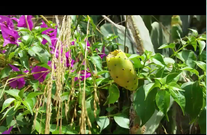 111 (33) - СТРЕН 