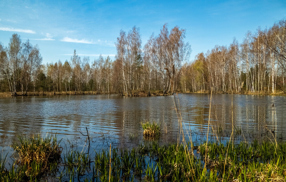 ВЕСНА,ВЕСНА,ВЕСНА 5 ... - Андрей Дворников