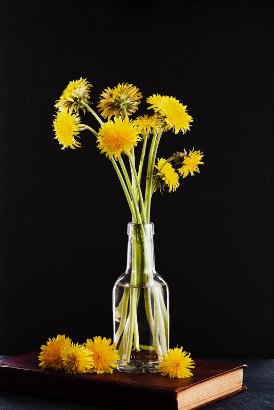 натюрморт с одуванчиками - Алексей Чигвинцев