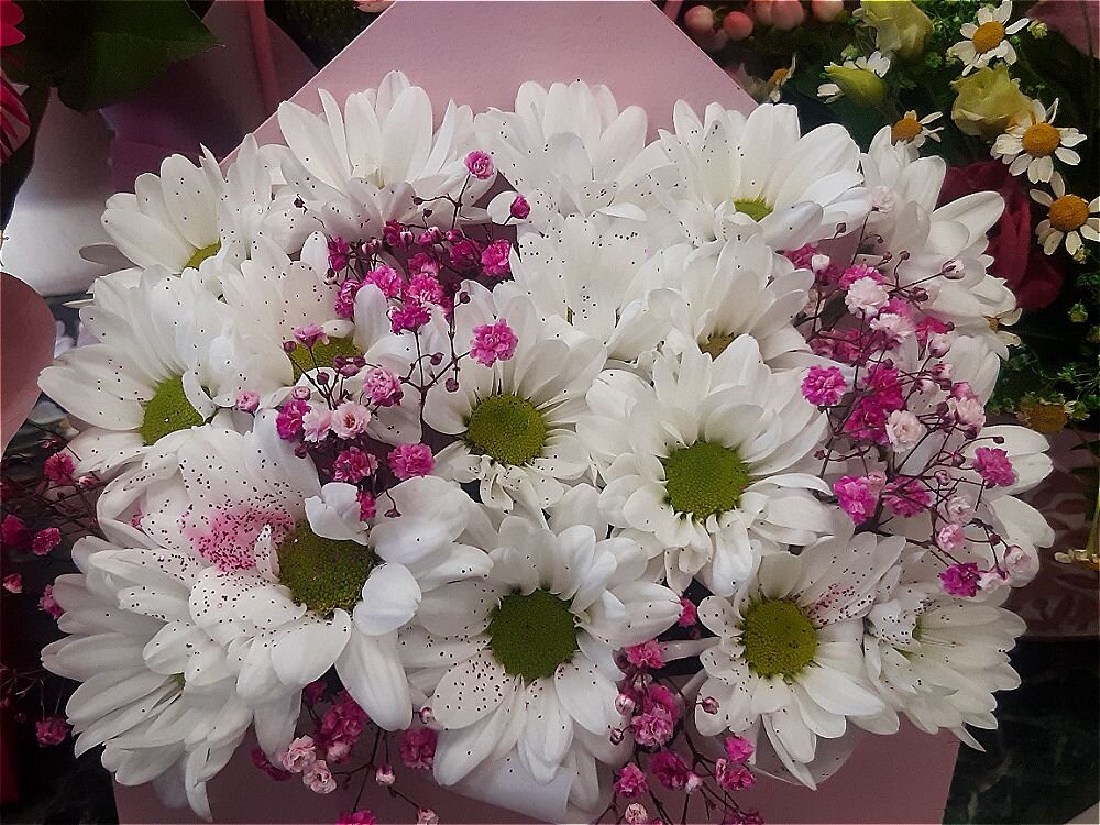 Цветы в конверте! - Нина Андронова