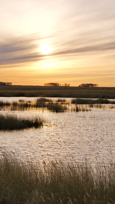 Закат. - сергей ермошкин Закат. - сергей ермошкин