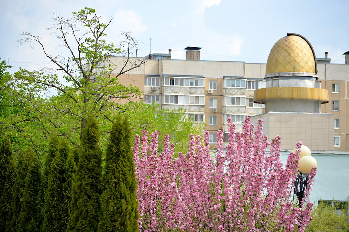 У обсерватории - Сеня Белгородский У обсерватории - Сеня Белгородский
