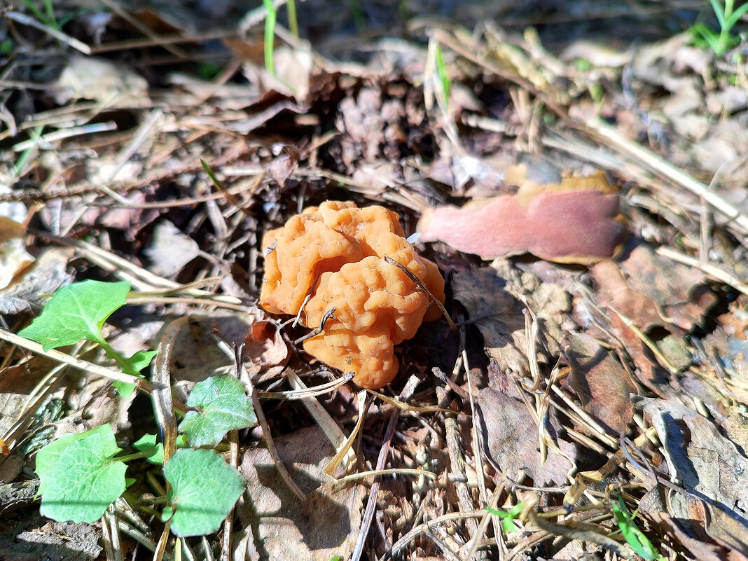 Спрятался - Денис Бочкарёв