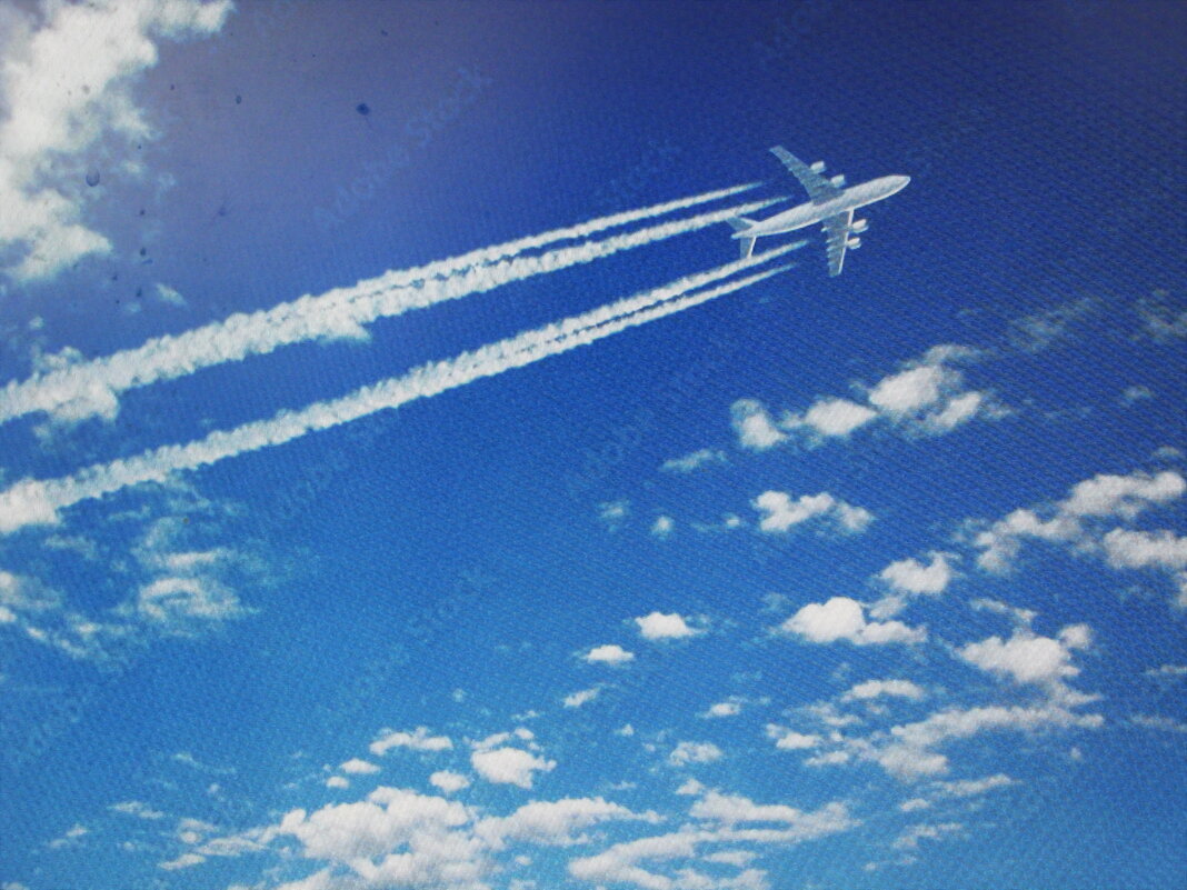 В полёте - Людмила Смородинская В полёте - Людмила Смородинская
