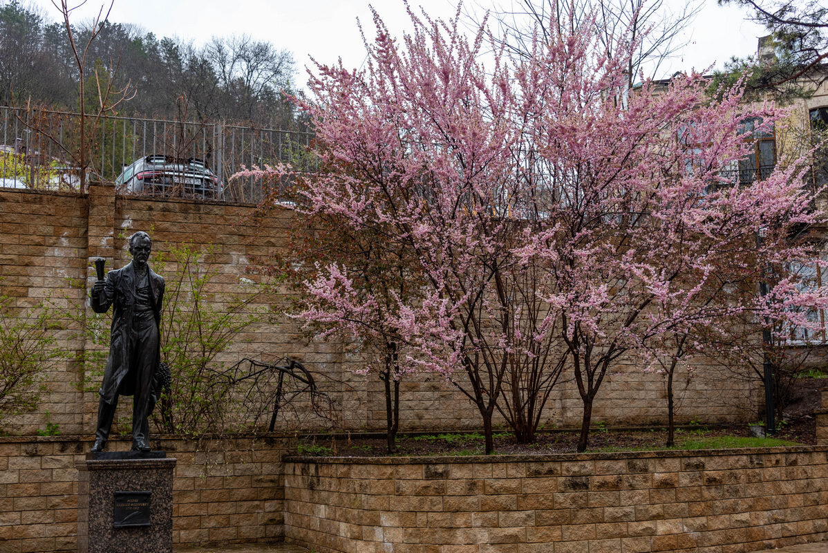 *** - Дмитрий Лупандин