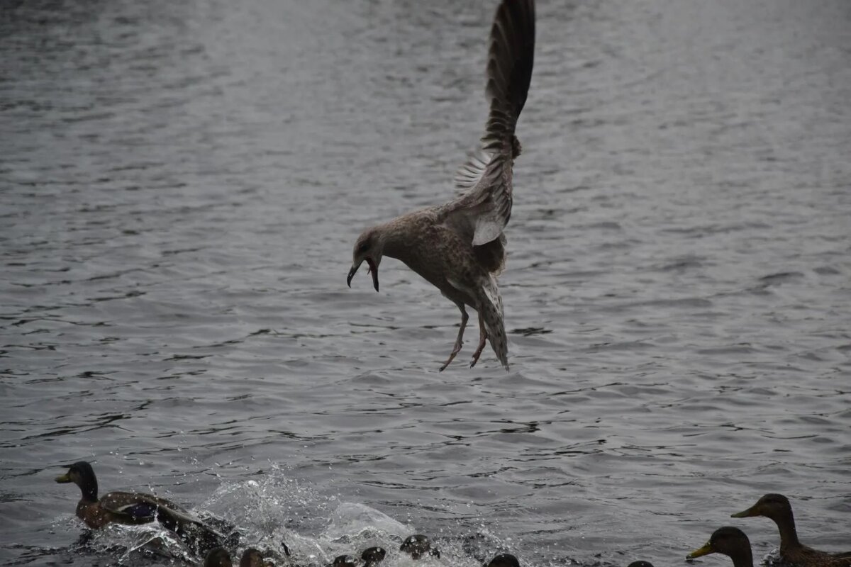 Врёшь - не уйдёшь! - Надежда 