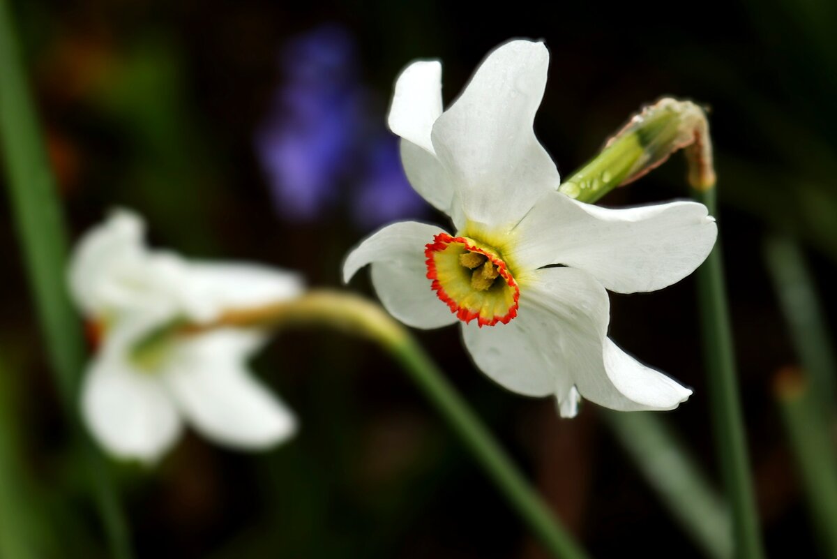 Доброе утро - Юрий. Шмаков