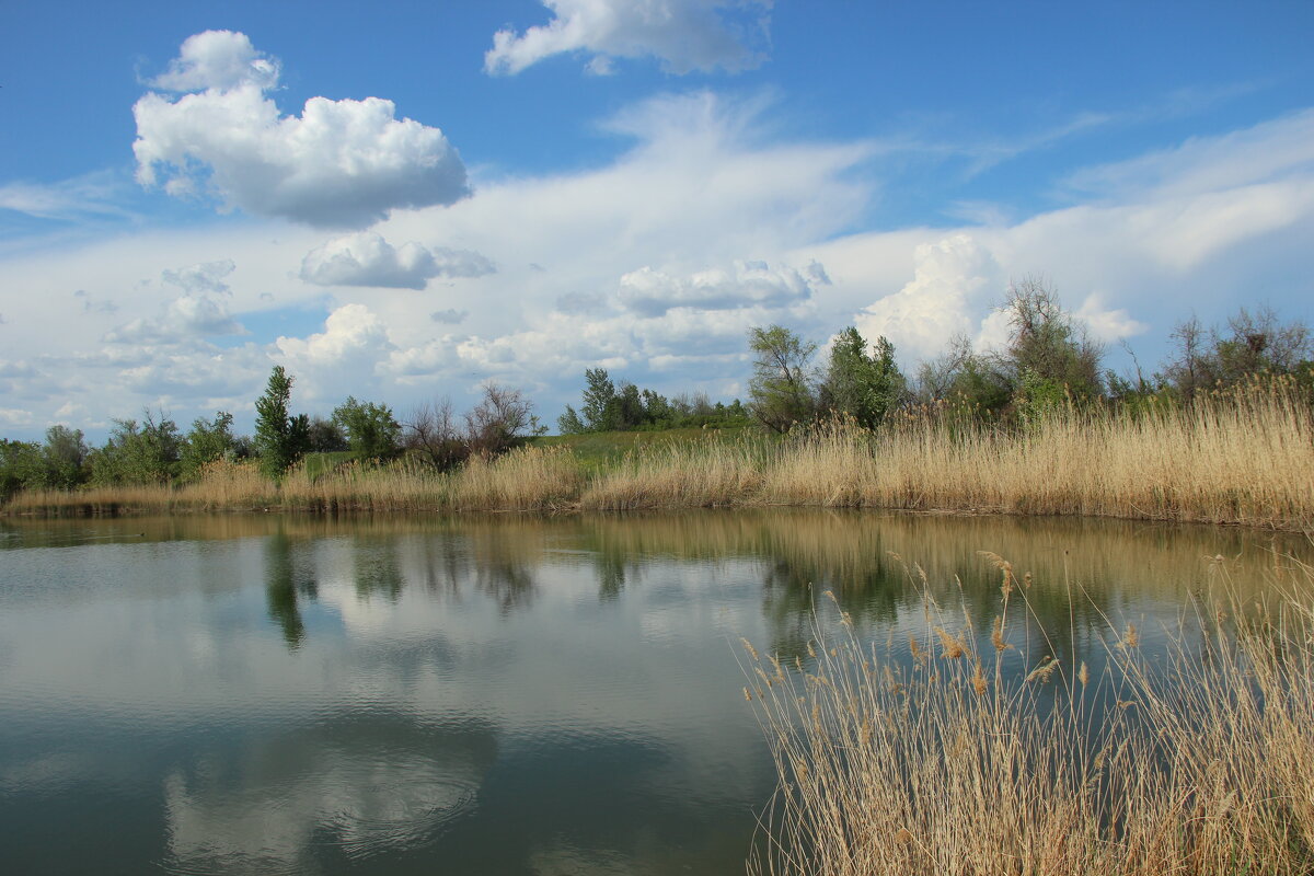 Донские виды. - Виктор 
