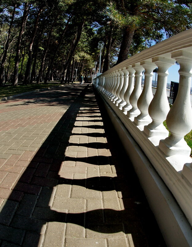 Свет и Тень.. - Николай Саржанов