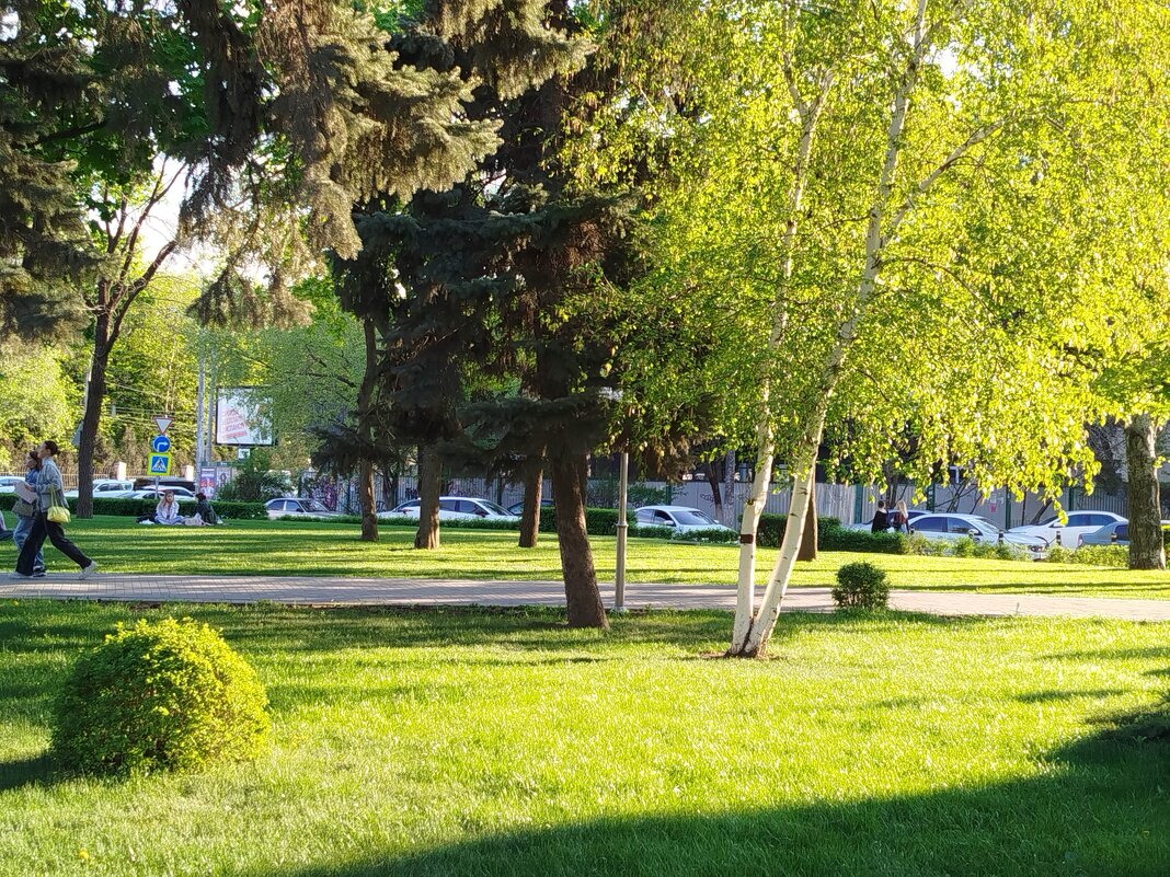 Еще яркая весенняя зелень! - Надежда 