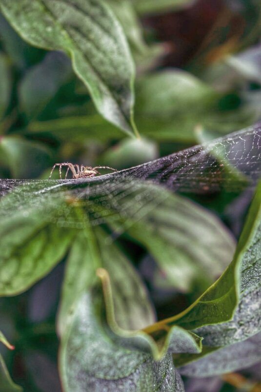 * - Оксана Н.