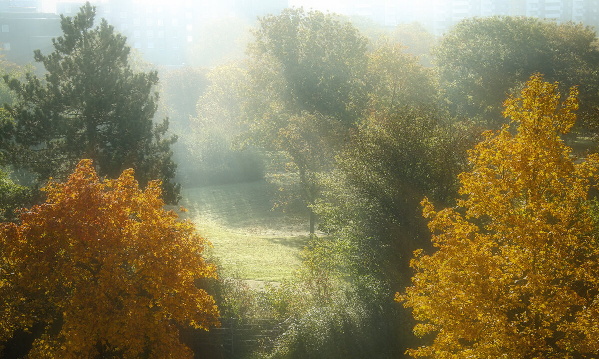 ***** - Андроник Александр ***** - Андроник Александр