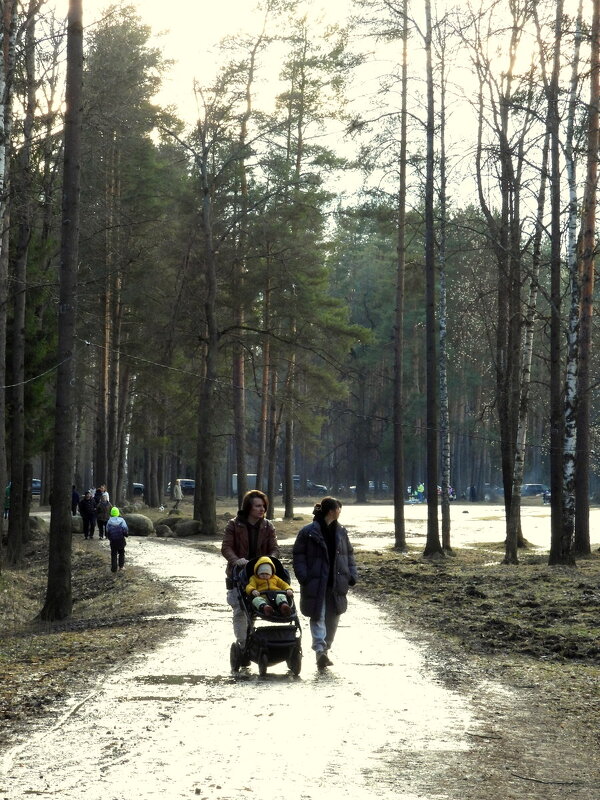 Весенний контражур - Юрий Велицкий Весенний контражур - Юрий Велицкий