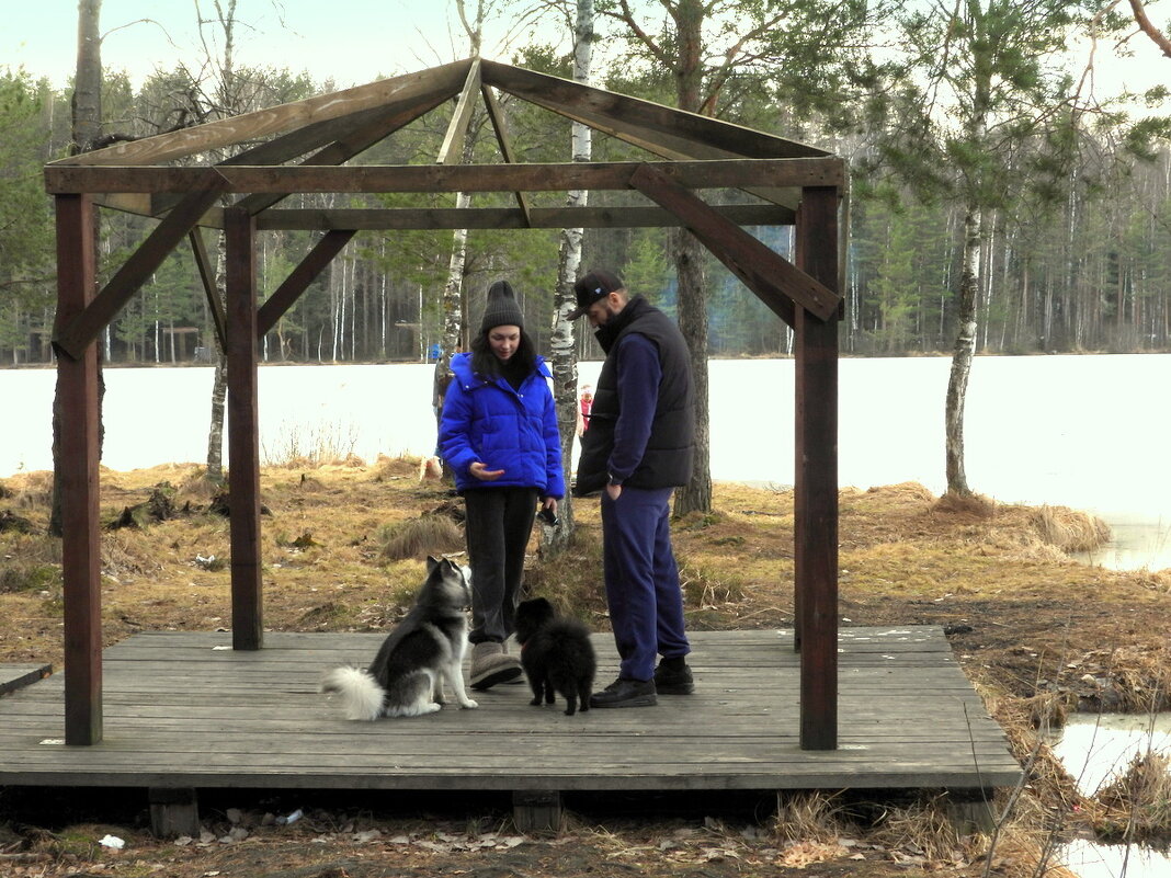 Весенний выгул - Юрий Велицкий
