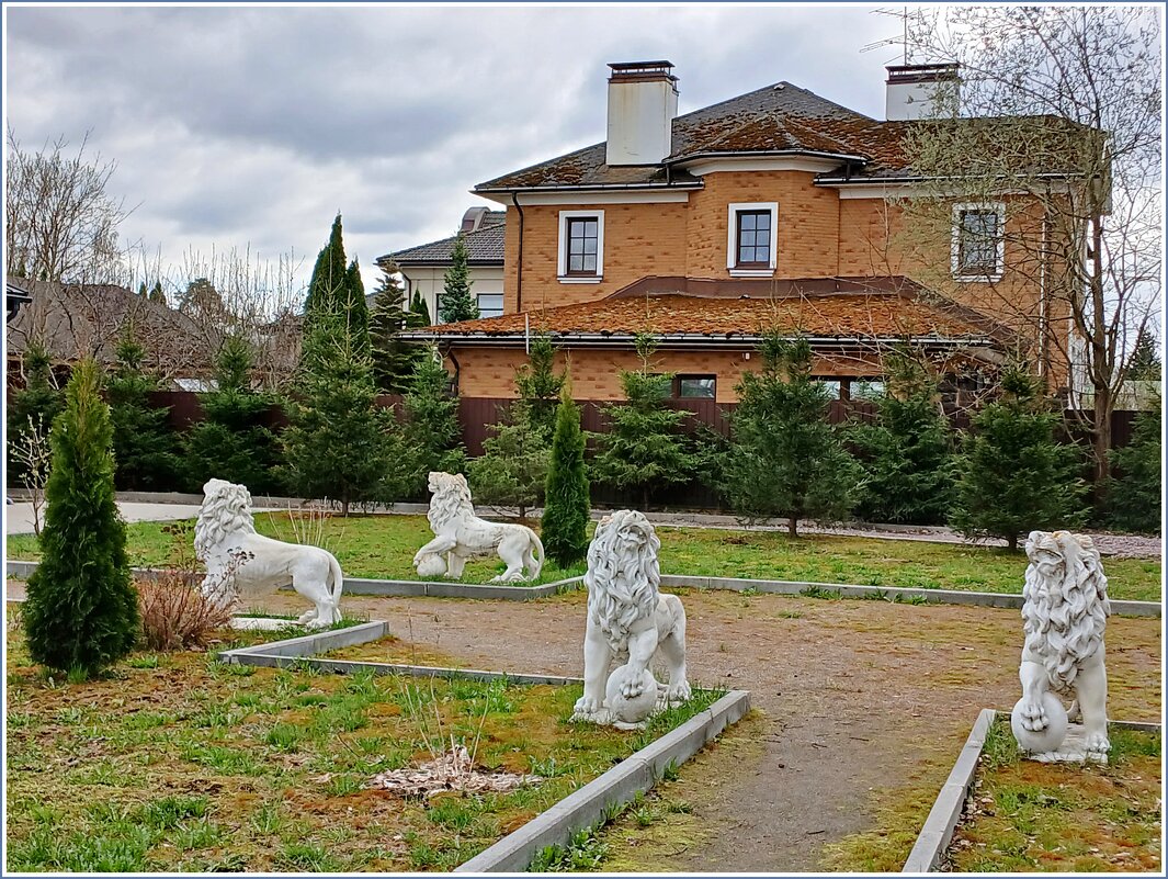 Целый прайд ☺ - Лия ☼