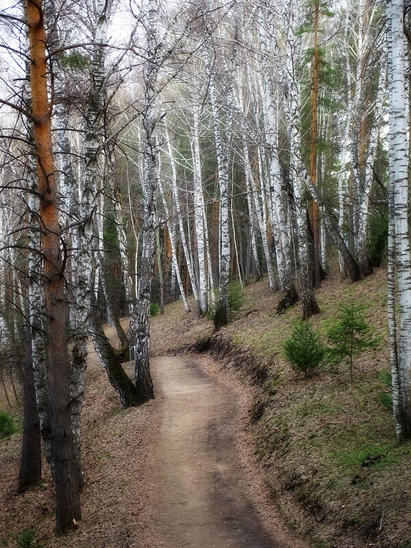 Терренкур - Павел Трунцев