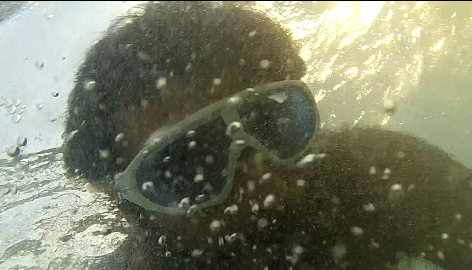 111 (39) - СТРЕН 