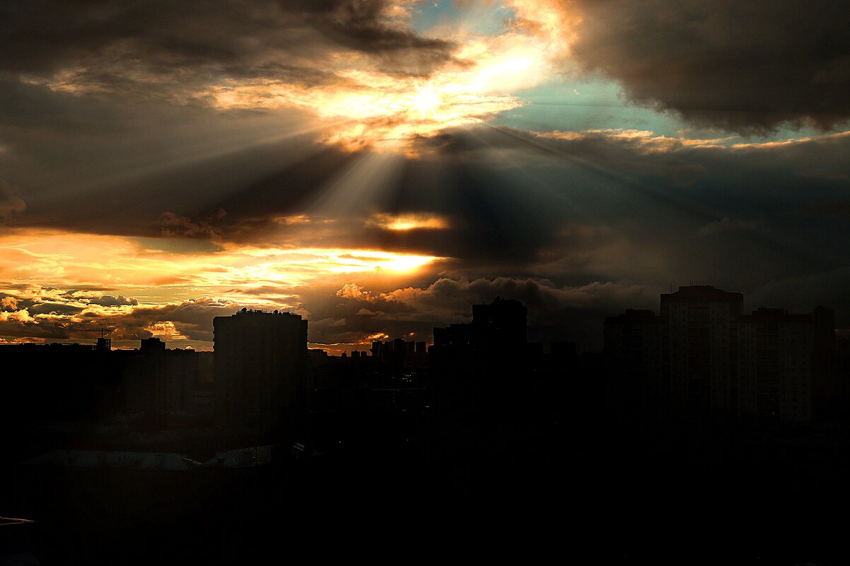 *** - веселов михаил 