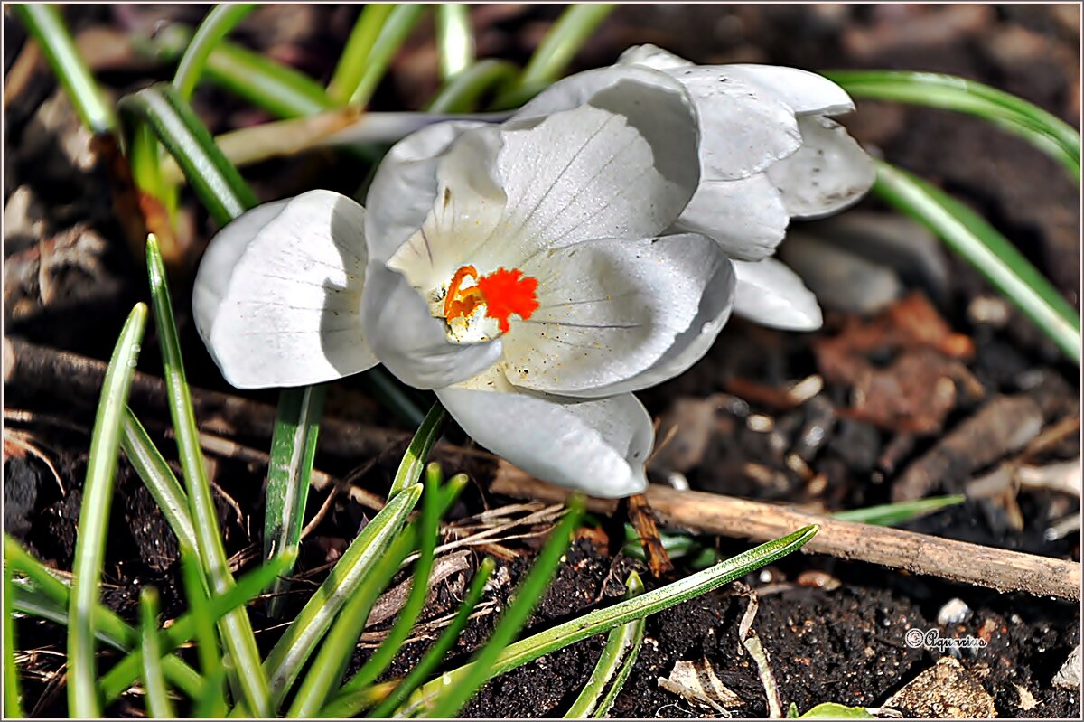 Про апрель... - Aquarius - Сергей Про апрель... - Aquarius - Сергей