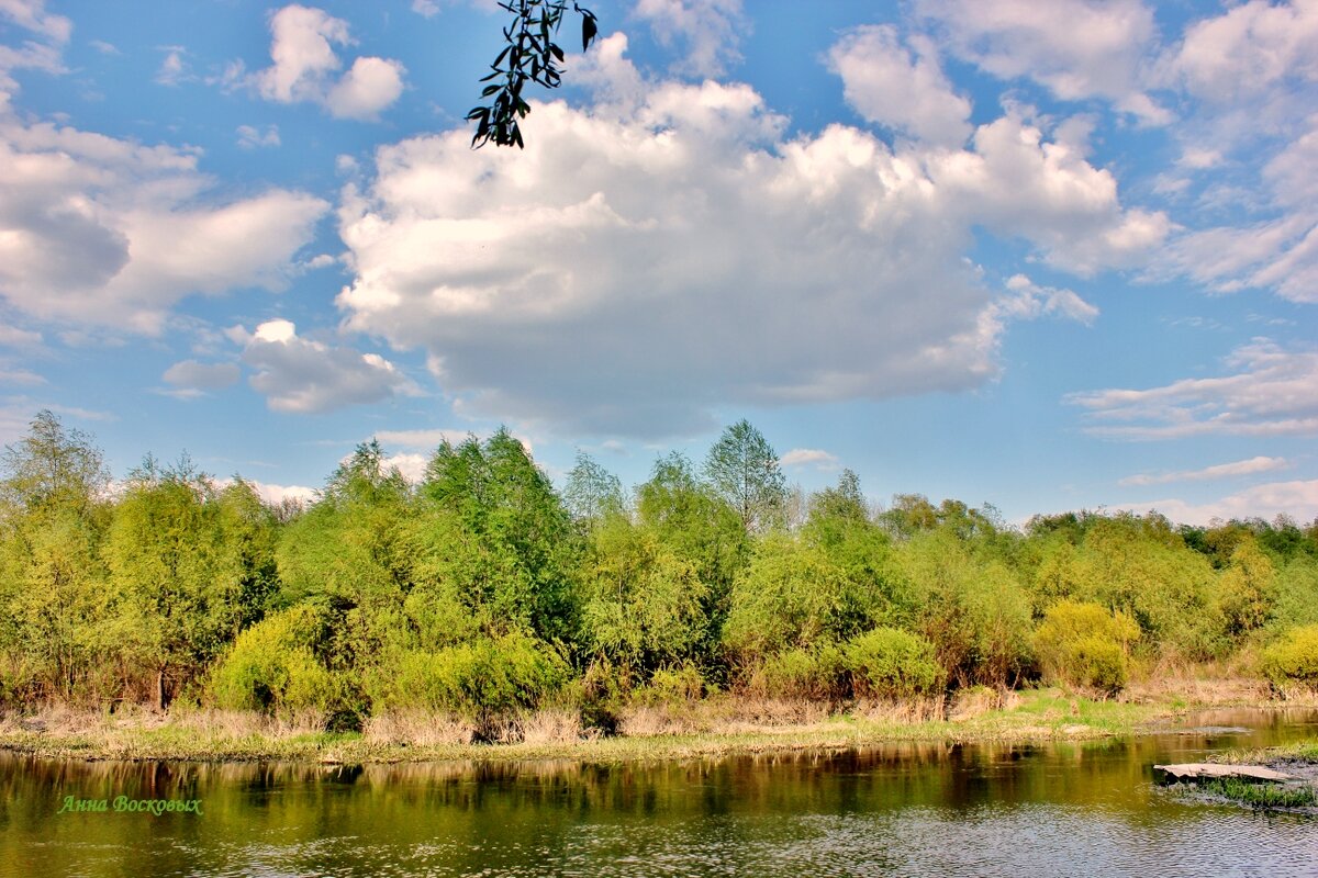 На речке Свинцовке. - Восковых Анна Васильевна 